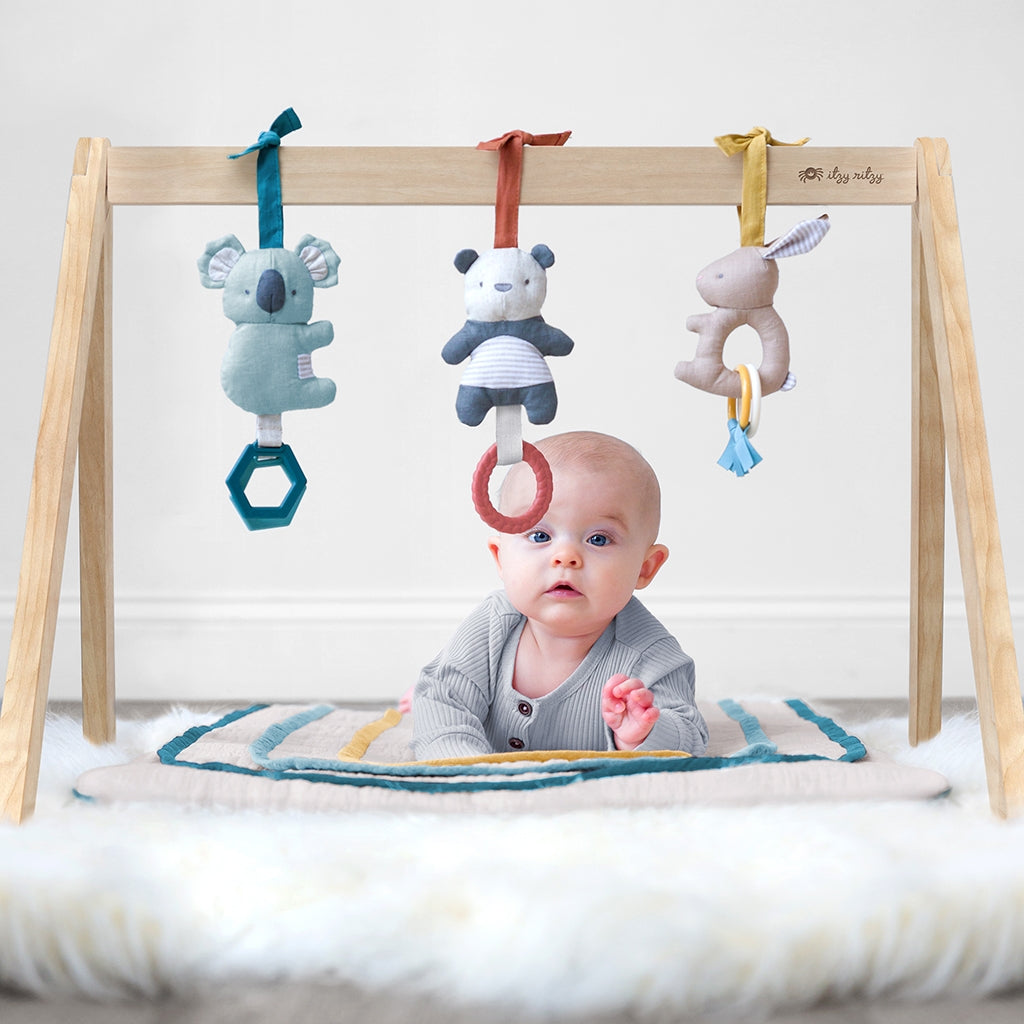 Ritzy Wooden Activity Gym with Toys